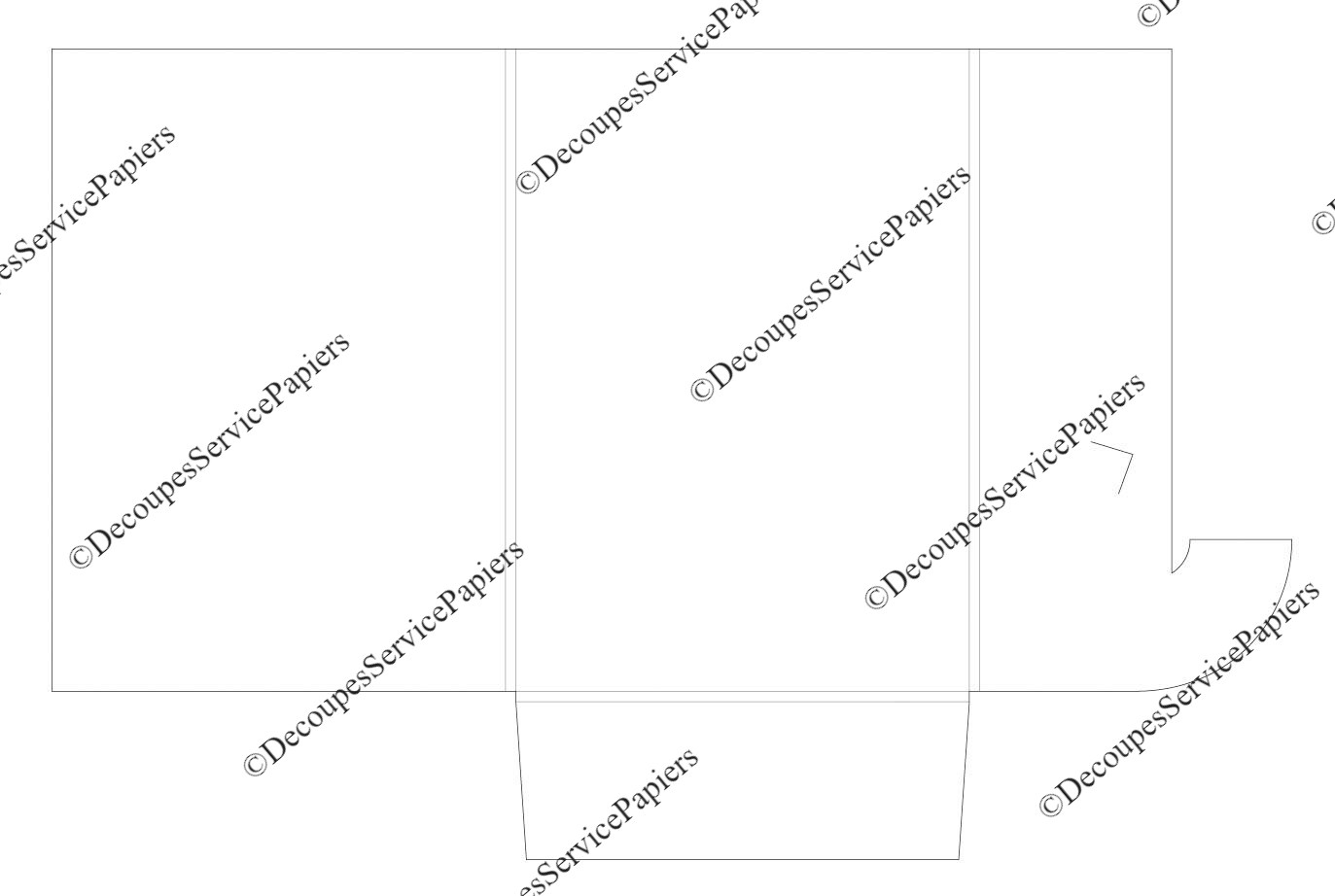 CHEMISE F 215 X 305 R5 O 588 X 385.jpeg